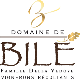 Domaine de Bile | Bassoues